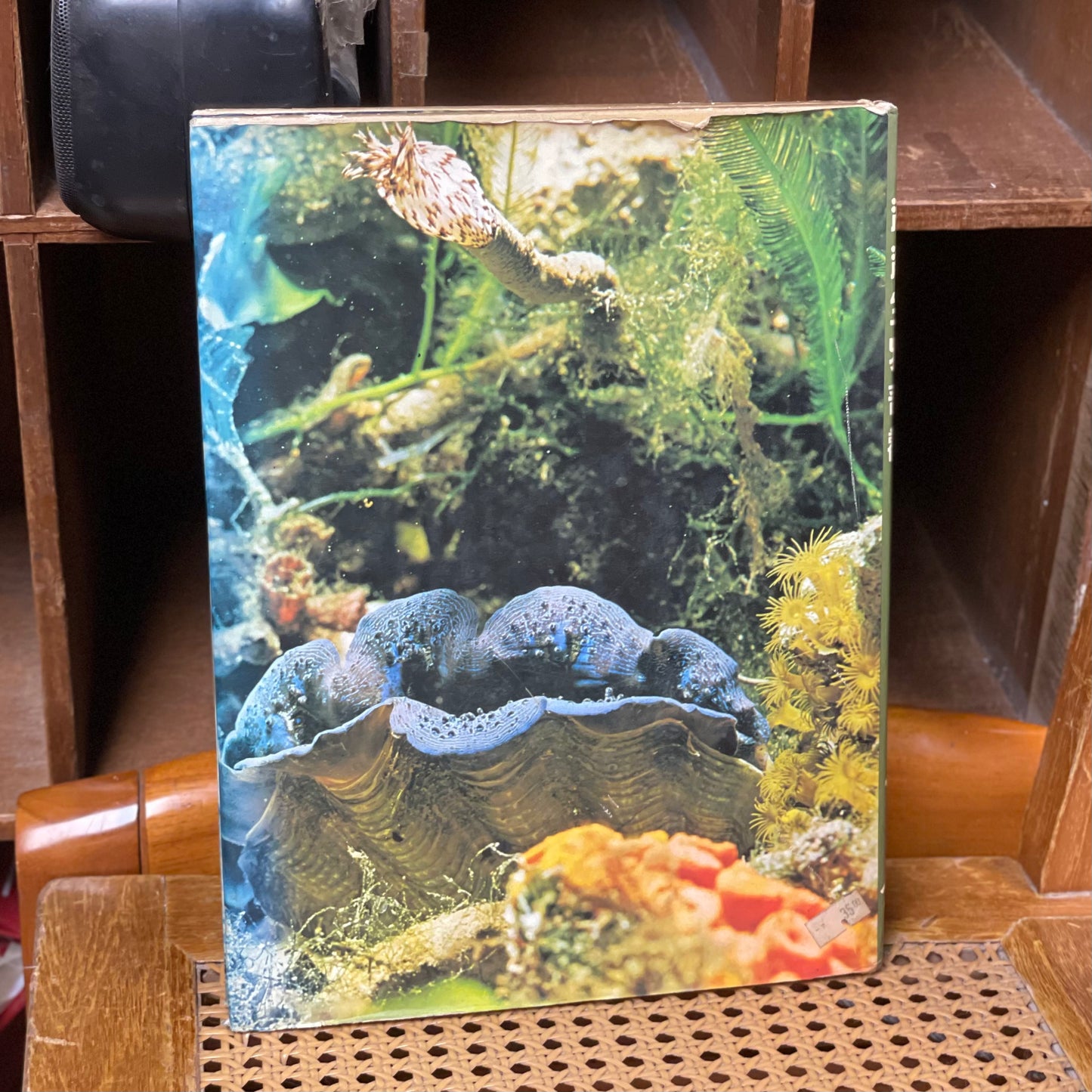 海洋公園教育叢書-海洋生物奇觀