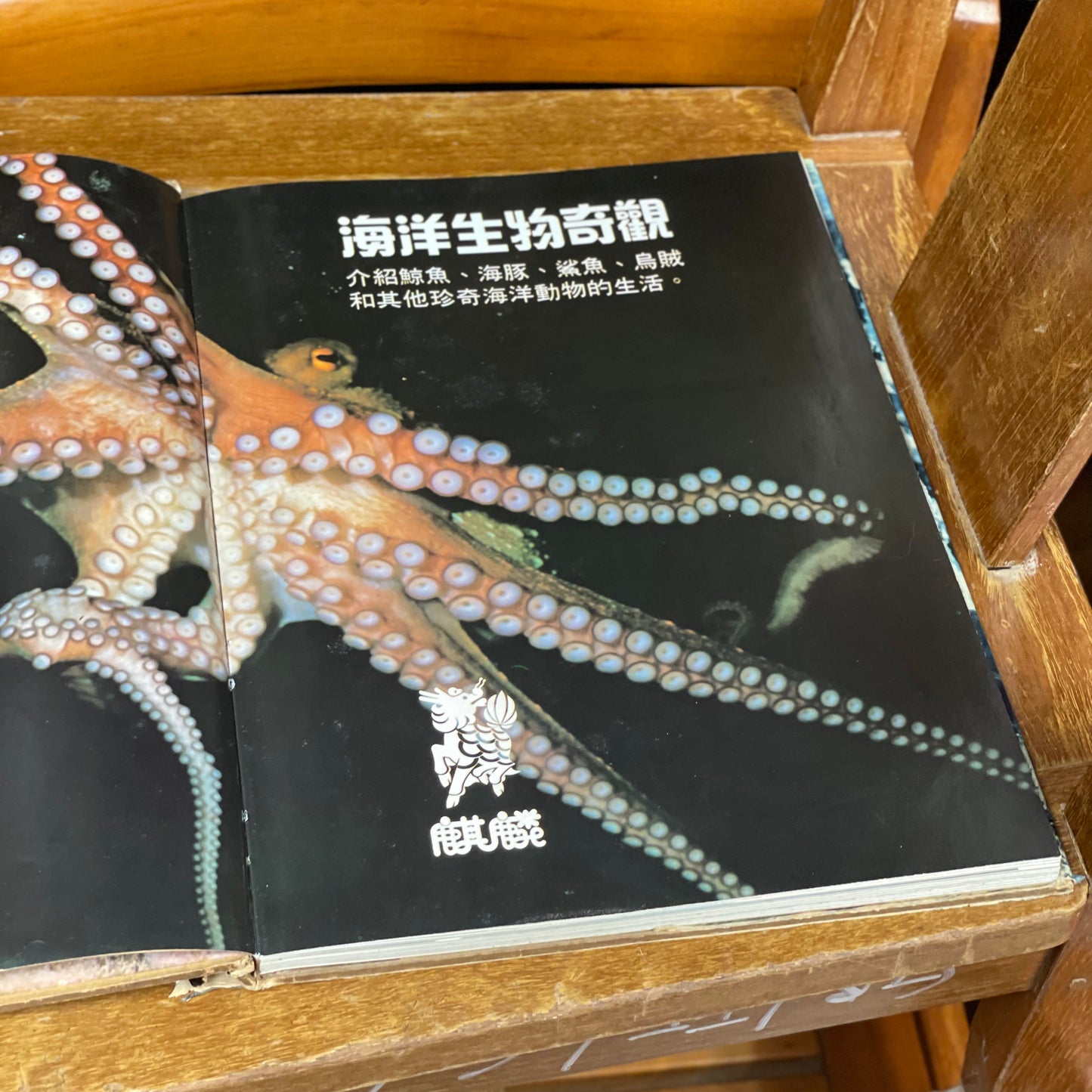 海洋公園教育叢書-海洋生物奇觀