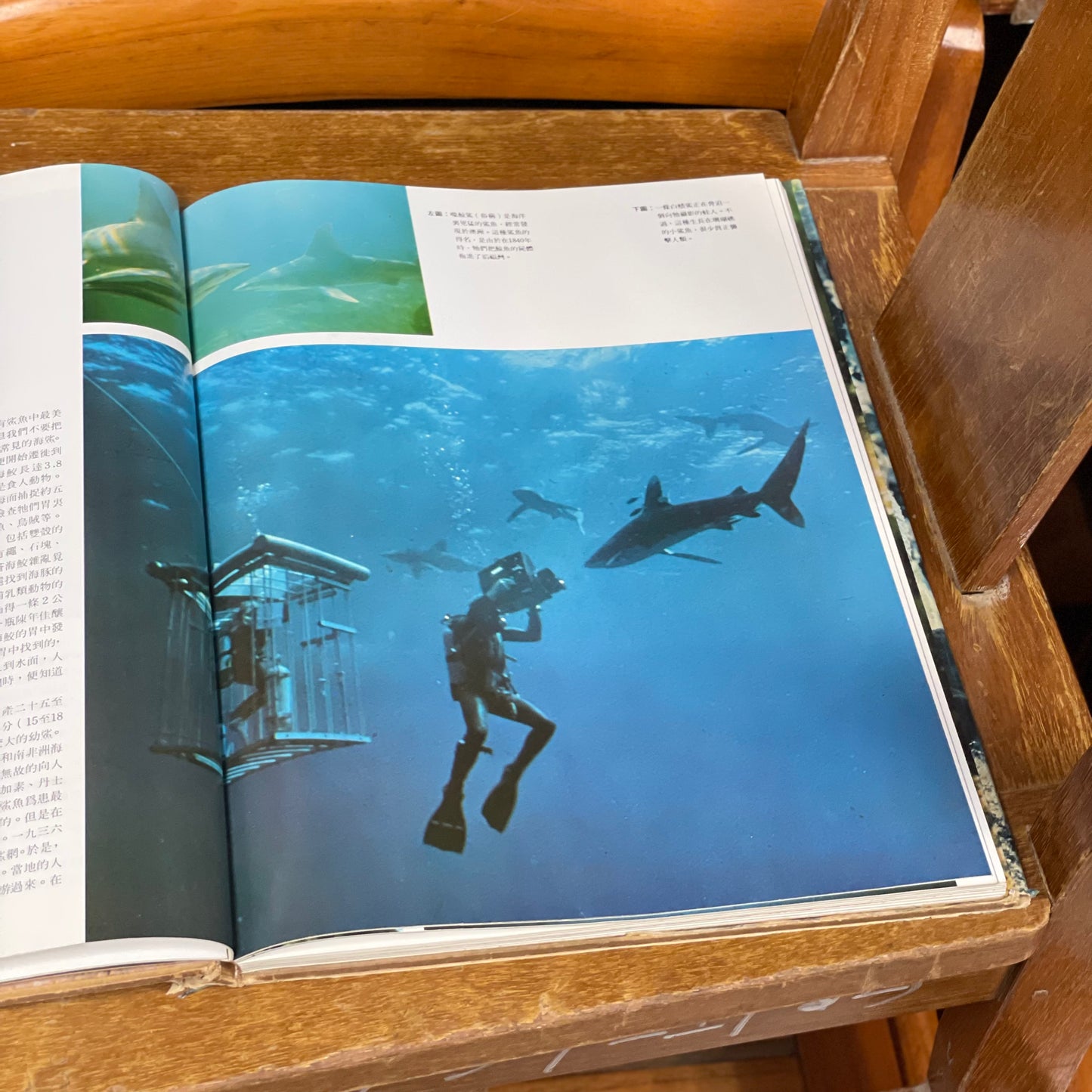 海洋公園教育叢書-海洋生物奇觀