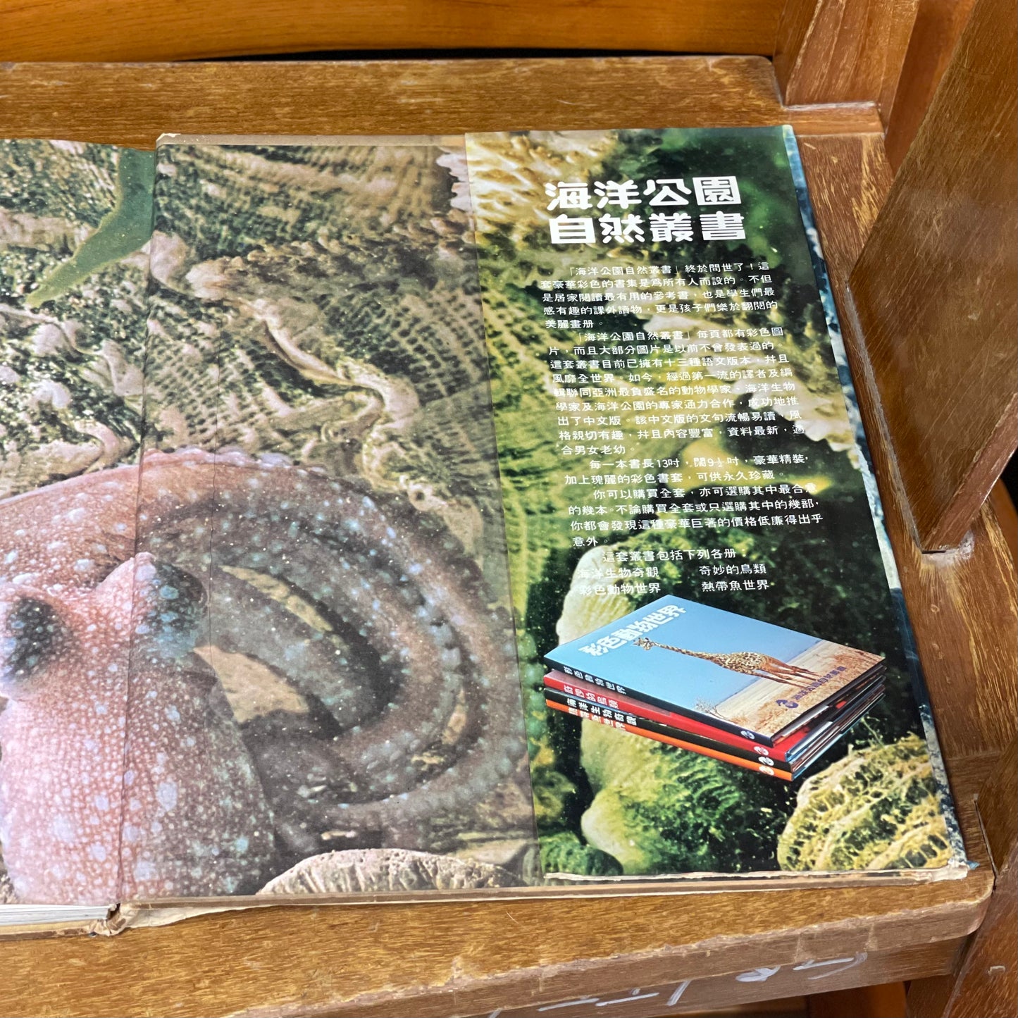 海洋公園教育叢書-海洋生物奇觀