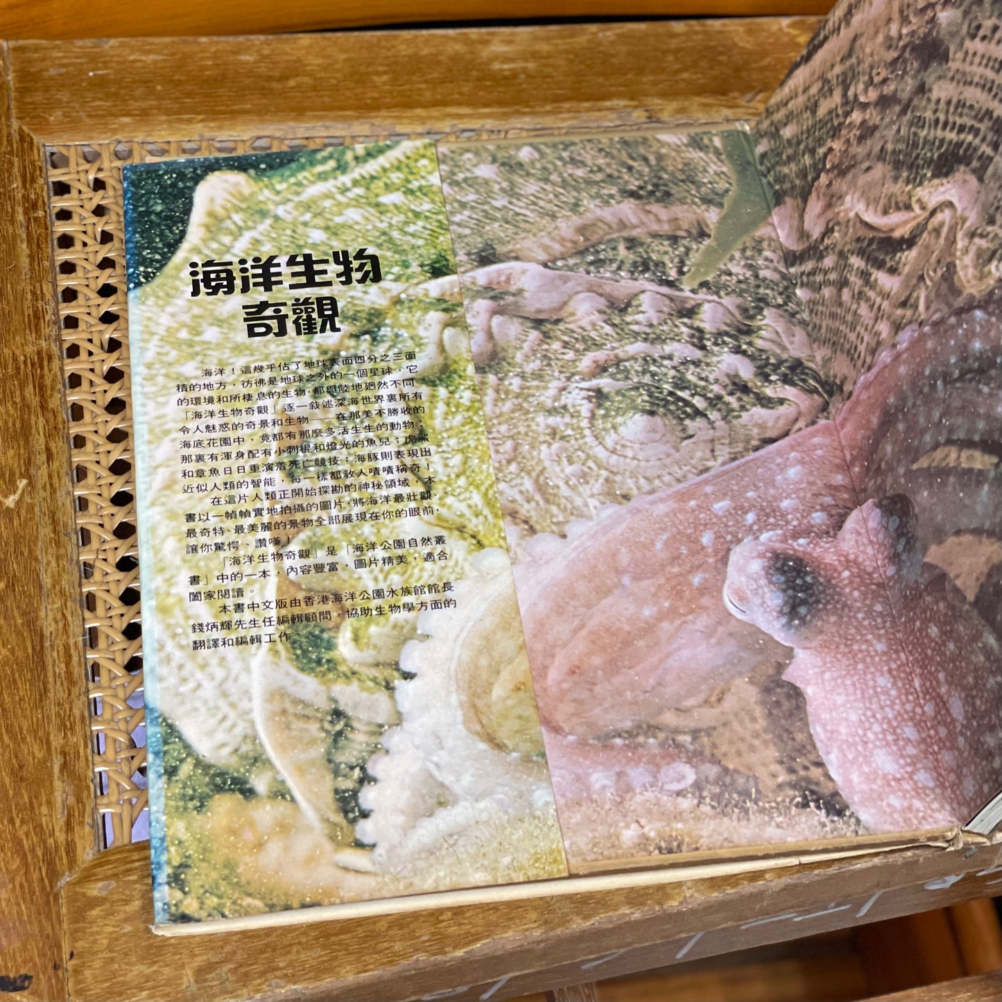 海洋公園教育叢書-海洋生物奇觀