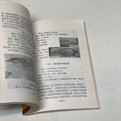 熱帶魚養殖法